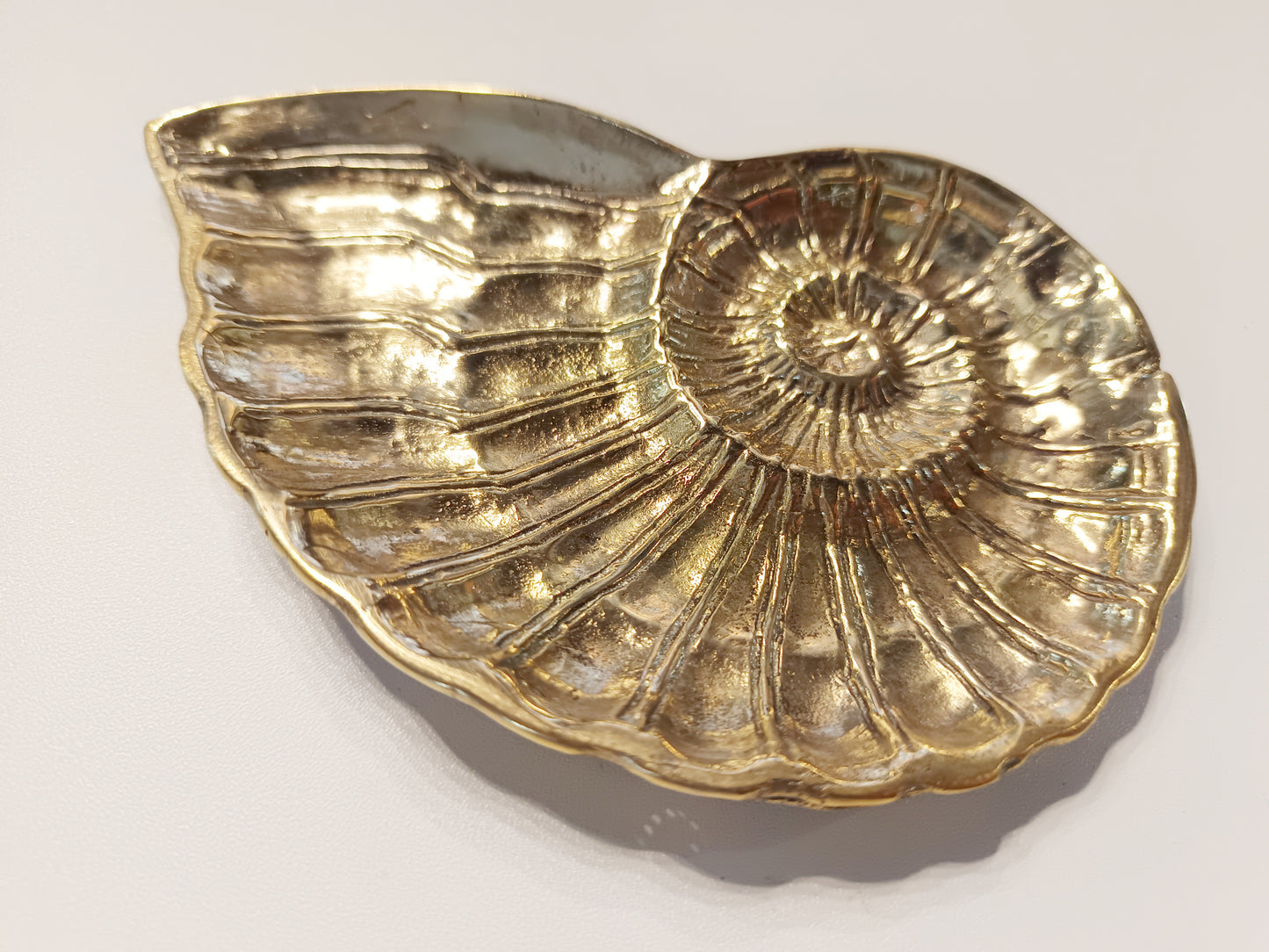 Ammonite brass ring dish, antique brass trinket plate.