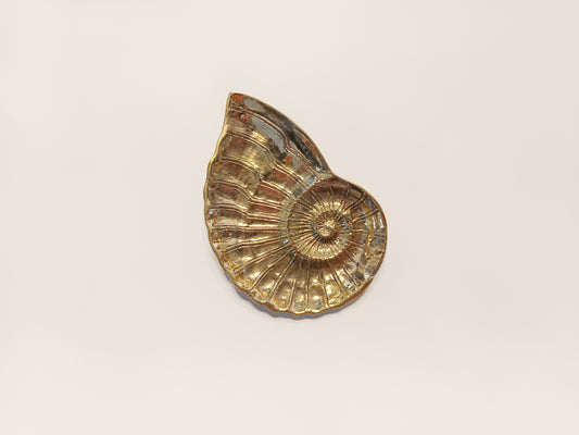 Ammonite brass ring dish, antique brass trinket plate.